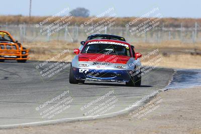 media/Nov-16-2024-CalClub SCCA (Sat) [[641f3b2761]]/Group 1/Star Mazda (Qual)/